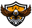 呼市保安公司